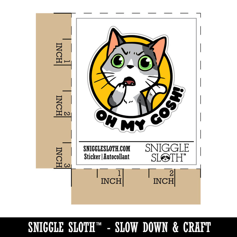 Oh My Gosh Shocked Surprised Cat