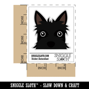 Peeking Scottish Terrier Dog