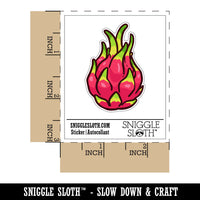 Pitaya Dragon Fruit Cactus