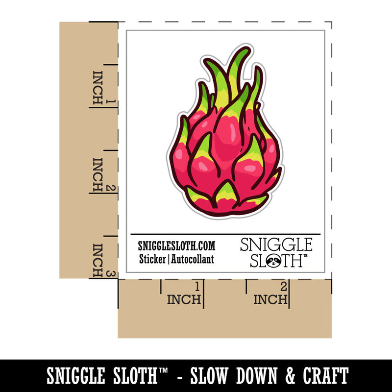 Pitaya Dragon Fruit Cactus