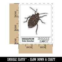 Realistic Brown Marmorated Stink Bug