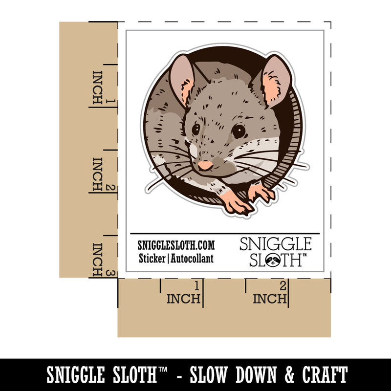 Realistic House Mouse Peeking Through Hole Rodent
