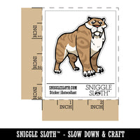 Sabertooth Tiger Extinct Cat Ice Age
