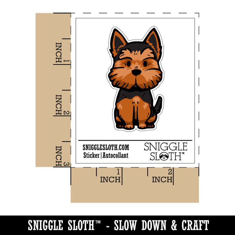 Scruffy Yorkshire Terrier Pet Dog