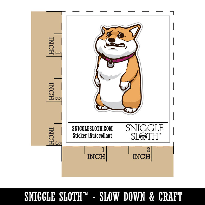 Very Worried Standing Corgi Dog