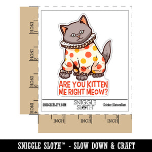 Water Bottle Sticker Set Are You Kitten Me Right Meow Clown Cat Cute Waterproof Vinyl Stickers Pack Decal, Skateboard, Laptop, Car, Window, Bumper - 5 Pack