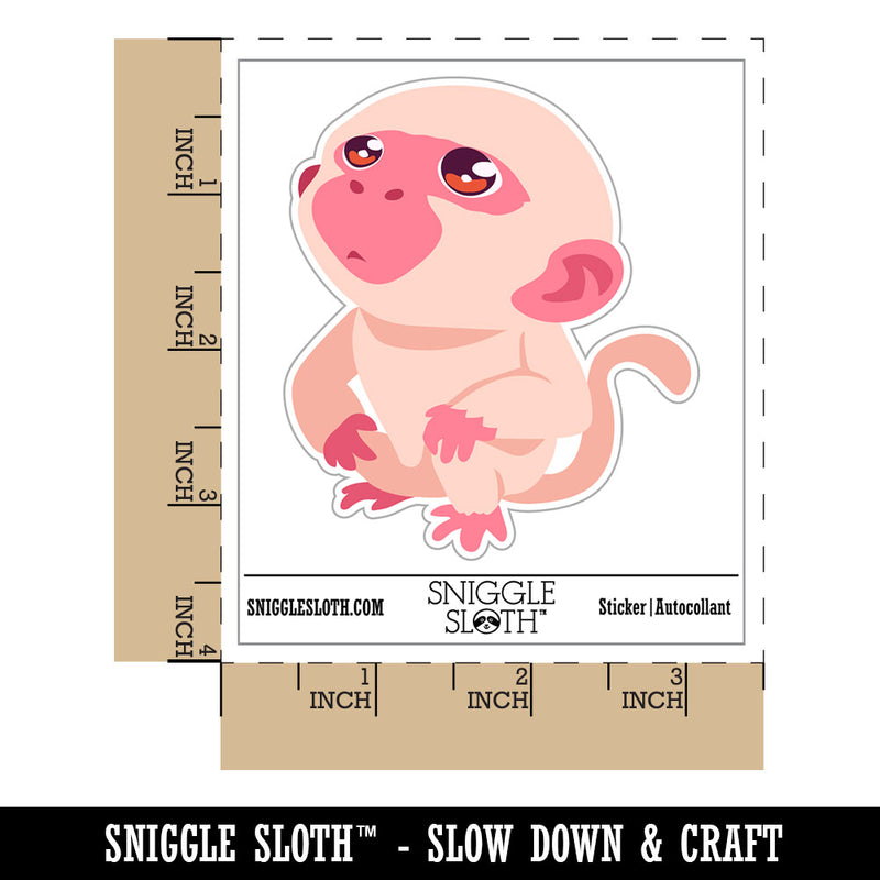 Water Bottle Sticker Set Curious Inquisitive Little Monkey Looking Up Cute Waterproof Vinyl Stickers Pack Decal, Skateboard, Laptop, Car, Window, Bumper - 5 Pack