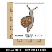 Water Bottle Sticker Set Realistic Sticky Garden Snail Crawling Cute Waterproof Vinyl Stickers Pack Decal, Skateboard, Laptop, Car, Window, Bumper - 5 Pack