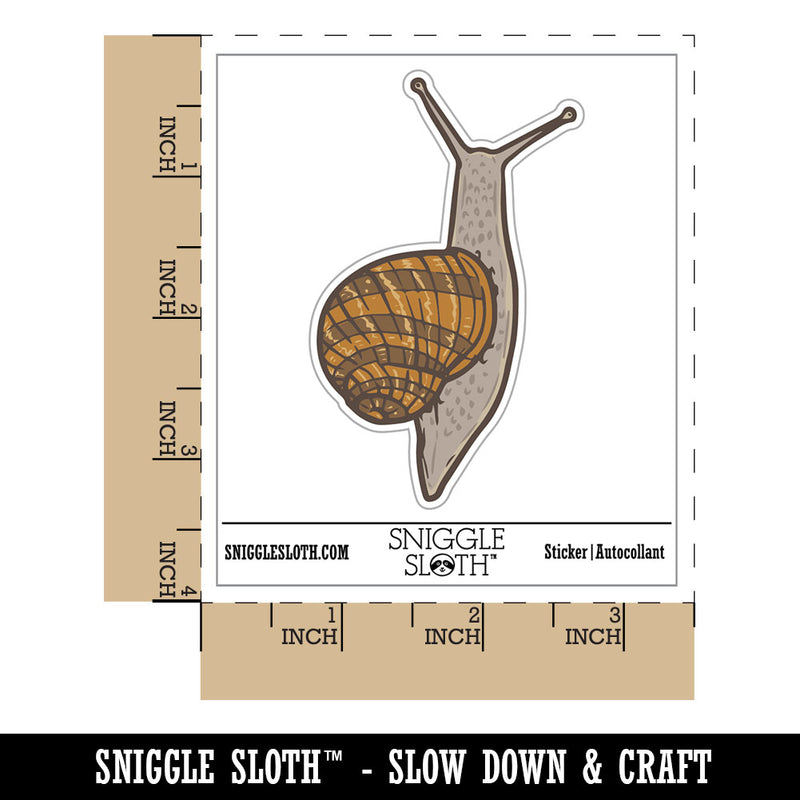 Water Bottle Sticker Set Realistic Sticky Garden Snail Crawling Cute Waterproof Vinyl Stickers Pack Decal, Skateboard, Laptop, Car, Window, Bumper - 5 Pack