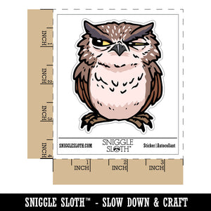 Water Bottle Sticker Set Suspicious Doubtful Owl Side Eye Bird Cute Waterproof Vinyl Stickers Pack Decal, Skateboard, Laptop, Car, Window, Bumper - 5 Pack