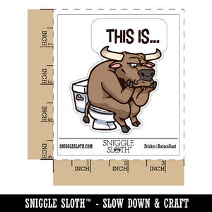 Water Bottle Sticker Set This Is Bull Crap Toilet Humor Funny Cute Waterproof Vinyl Stickers Pack Decal, Skateboard, Laptop, Car, Window, Bumper - 5 Pack