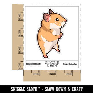 Water Bottle Sticker Set Wary Suspicious Syrian Hamster Standing Cute Waterproof Vinyl Stickers Pack Decal, Skateboard, Laptop, Car, Window, Bumper - 5 Pack