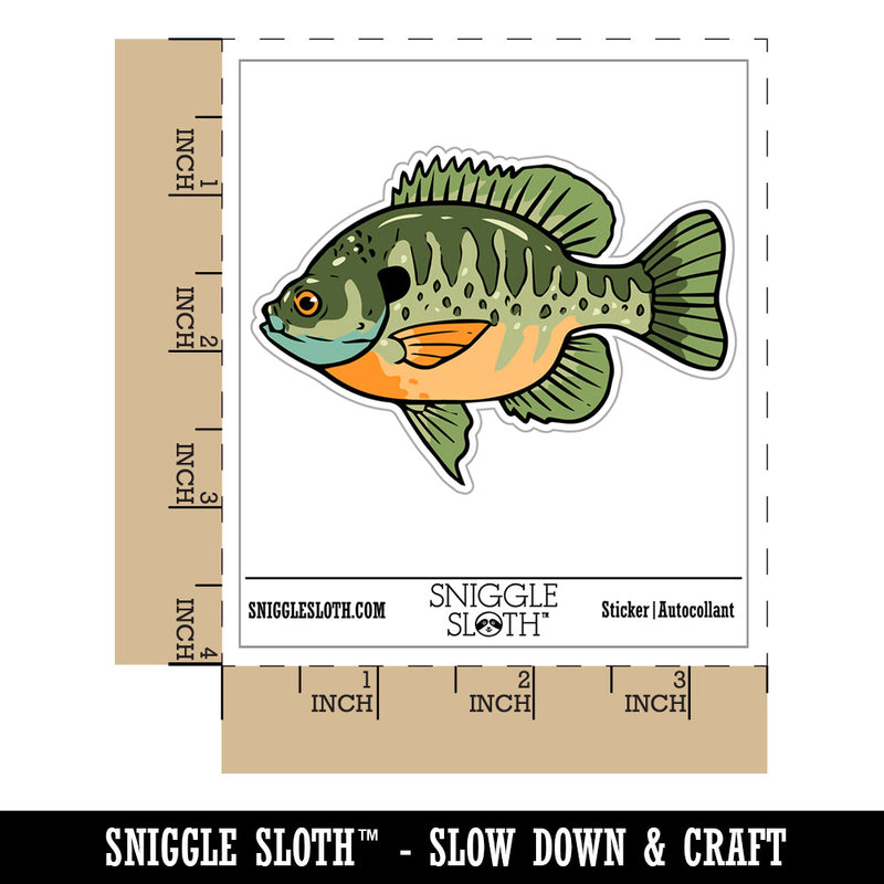 Bluegill Freshwater Fish Bream Copper Nose Waterproof Vinyl Phone Tablet Laptop Water Bottle Car Window Bumper Decal Sticker Set - 5 Pack