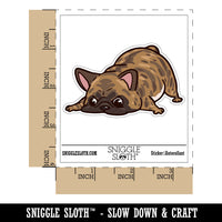 Brindle French Bulldog Sniffing Smelling Furiously Dog Waterproof Vinyl Phone Tablet Laptop Water Bottle Car Window Bumper Decal Sticker Set - 5 Pack