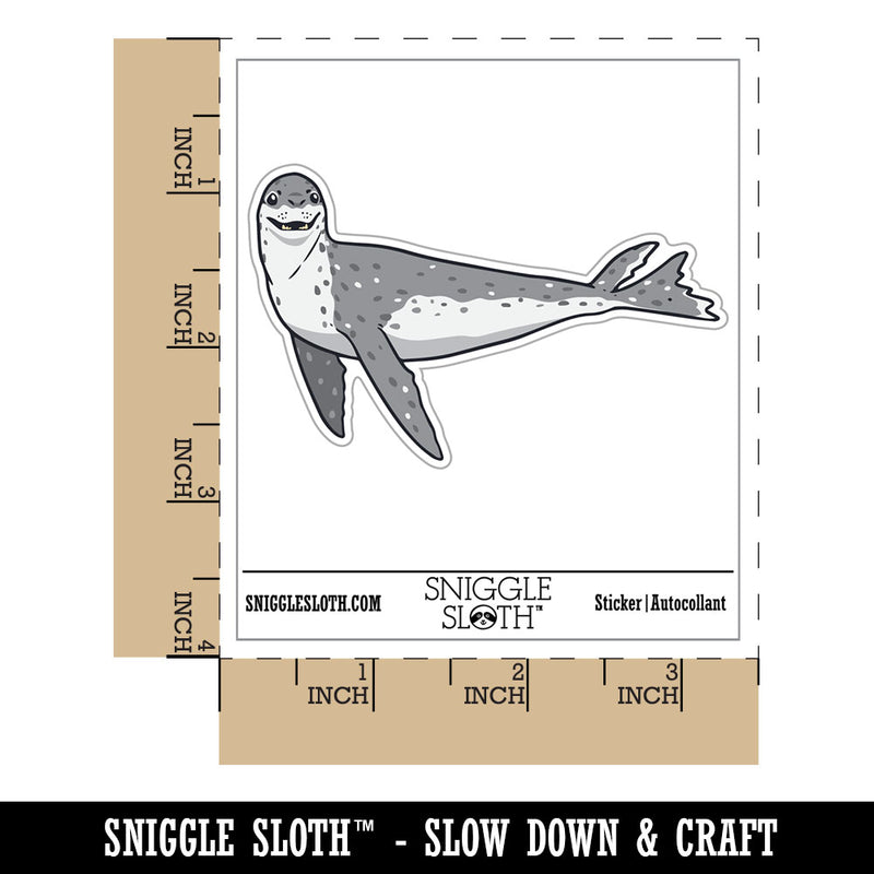 Curious Leopard Seal Swimming Sea Waterproof Vinyl Phone Tablet Laptop Water Bottle Car Window Bumper Decal Sticker Set - 5 Pack