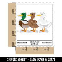 Ducks In A Row Funny Birds Waterproof Vinyl Phone Tablet Laptop Water Bottle Car Window Bumper Decal Sticker Set - 5 Pack