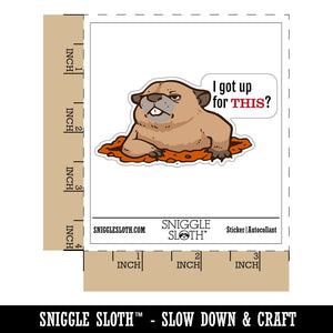Grumpy Groundhog I got Up For This Waterproof Vinyl Phone Tablet Laptop Water Bottle Car Window Bumper Decal Sticker Set - 5 Pack
