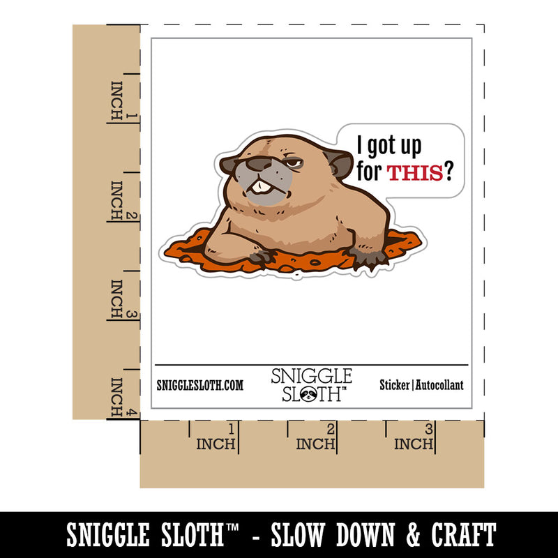 Grumpy Groundhog I got Up For This Waterproof Vinyl Phone Tablet Laptop Water Bottle Car Window Bumper Decal Sticker Set - 5 Pack