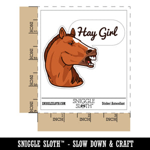 Hay Girl Flirty Chestnut Sorrel Horse Funny Pun Waterproof Vinyl Phone Tablet Laptop Water Bottle Car Window Bumper Decal Sticker Set - 5 Pack