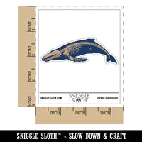 Humpback Whale Skeleton Bones Waterproof Vinyl Phone Tablet Laptop Water Bottle Car Window Bumper Decal Sticker Set - 5 Pack