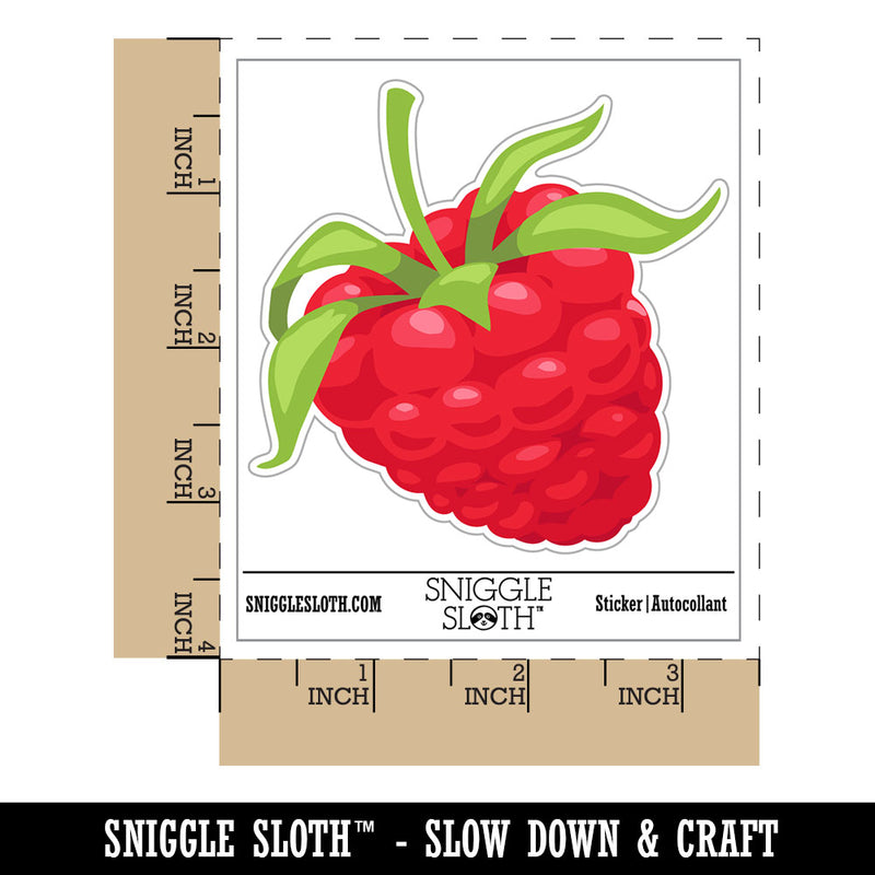 Juicy Ripe Raspberry Berry Fruit Waterproof Vinyl Phone Tablet Laptop Water Bottle Car Window Bumper Decal Sticker Set - 5 Pack
