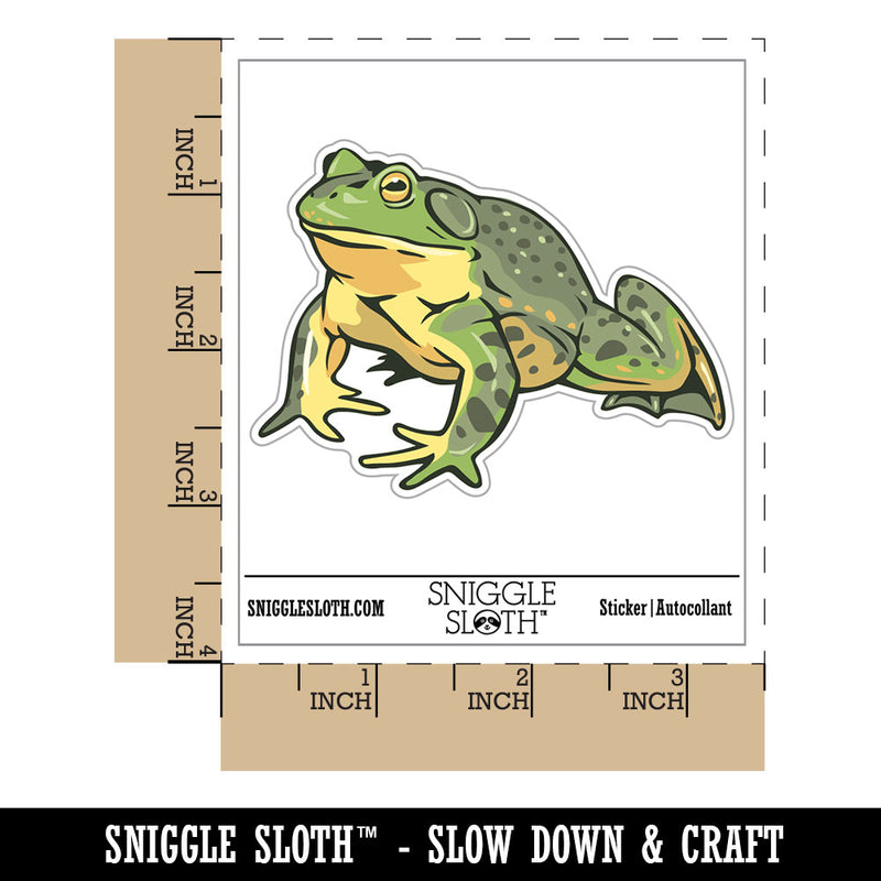 Realistic American Bullfrog Amphibian Frog Waterproof Vinyl Phone Tablet Laptop Water Bottle Car Window Bumper Decal Sticker Set - 5 Pack