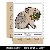 Realistic American Pika Gathering Flowers Waterproof Vinyl Phone Tablet Laptop Water Bottle Car Window Bumper Decal Sticker Set - 5 Pack