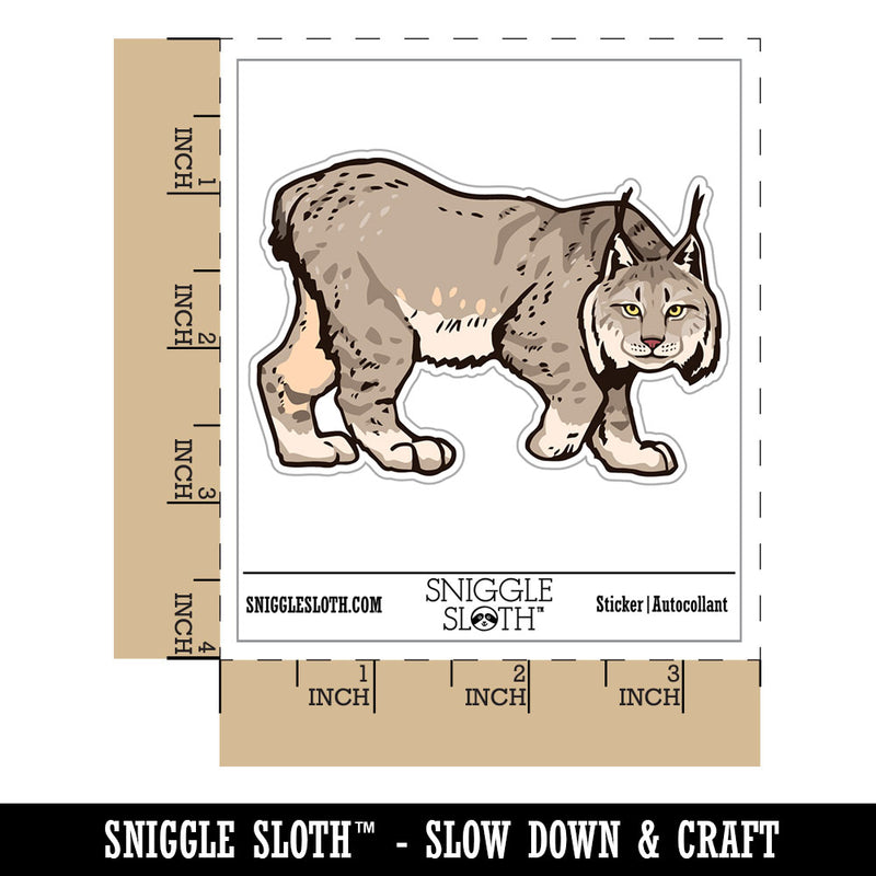 Realistic Canada Lynx Wild Cat Feline Waterproof Vinyl Phone Tablet Laptop Water Bottle Car Window Bumper Decal Sticker Set - 5 Pack