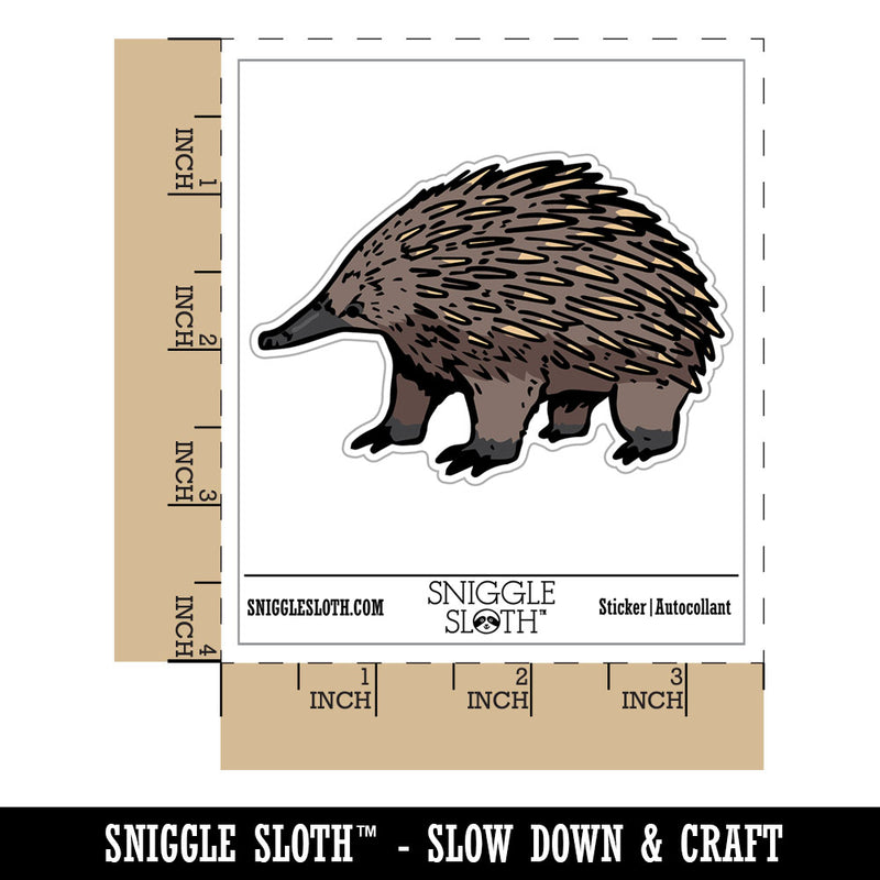 Realistic Echidna Spiny Anteater Waterproof Vinyl Phone Tablet Laptop Water Bottle Car Window Bumper Decal Sticker Set - 5 Pack