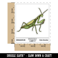 Realistic Praying Mantis Bug Insect Waterproof Vinyl Phone Tablet Laptop Water Bottle Car Window Bumper Decal Sticker Set - 5 Pack