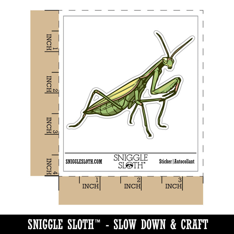 Realistic Praying Mantis Bug Insect Waterproof Vinyl Phone Tablet Laptop Water Bottle Car Window Bumper Decal Sticker Set - 5 Pack