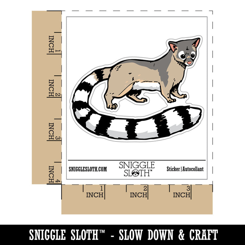 Realistic Ringtail Miner's Cat Mammal Waterproof Vinyl Phone Tablet Laptop Water Bottle Car Window Bumper Decal Sticker Set - 5 Pack
