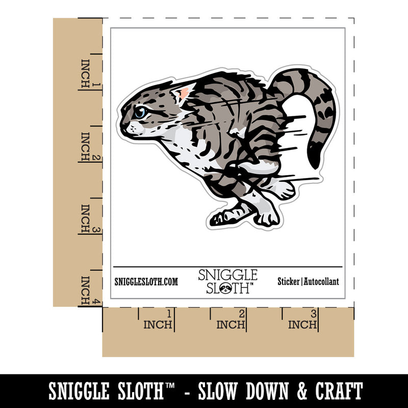 Realistic Running Kitten Cat Zoomies Sprinting Fast Waterproof Vinyl Phone Tablet Laptop Water Bottle Car Window Bumper Decal Sticker Set - 5 Pack