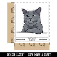 Russian Blue Cat Condescending Unimpressed Look Waterproof Vinyl Phone Tablet Laptop Water Bottle Car Window Bumper Decal Sticker Set - 5 Pack