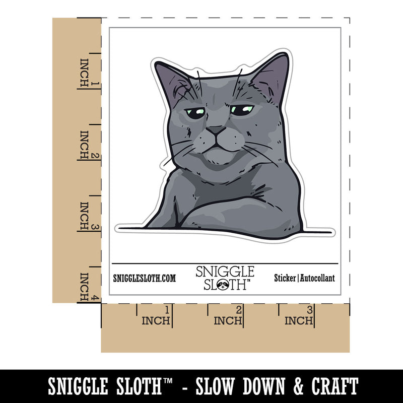 Russian Blue Cat Condescending Unimpressed Look Waterproof Vinyl Phone Tablet Laptop Water Bottle Car Window Bumper Decal Sticker Set - 5 Pack