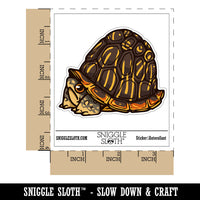 Shy Hiding Western Box Turtle Cartoon Waterproof Vinyl Phone Tablet Laptop Water Bottle Car Window Bumper Decal Sticker Set - 5 Pack