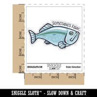 Something's Fishy Suspicious Fish Funny Waterproof Vinyl Phone Tablet Laptop Water Bottle Car Window Bumper Decal Sticker Set - 5 Pack