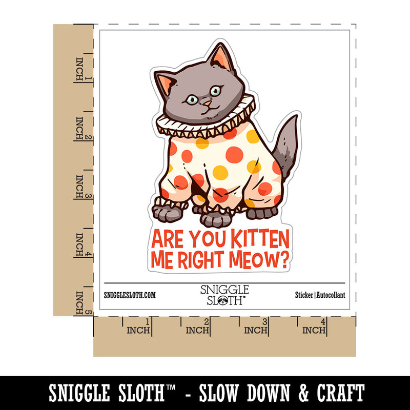 Water Bottle Sticker Set Are You Kitten Me Right Meow Clown Cat Cute Waterproof Vinyl Stickers Pack Decal, Skateboard, Laptop, Car, Window, Bumper - 5 Pack