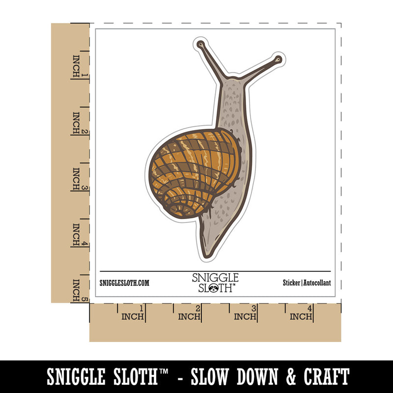 Water Bottle Sticker Set Realistic Sticky Garden Snail Crawling Cute Waterproof Vinyl Stickers Pack Decal, Skateboard, Laptop, Car, Window, Bumper - 5 Pack