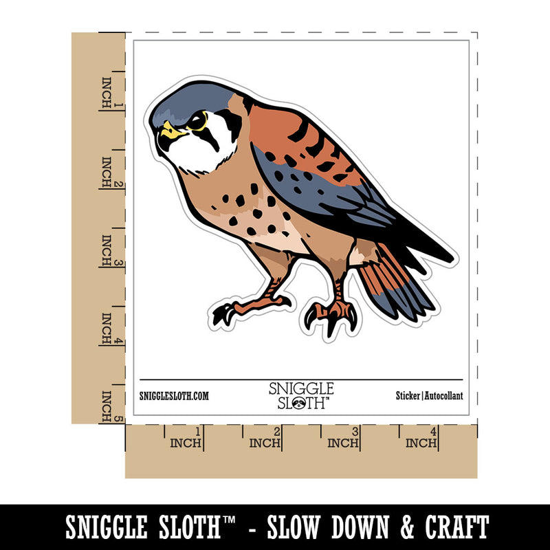 American Kestrel Falcon Bird of Prey Waterproof Vinyl Phone Tablet Laptop Water Bottle Car Window Bumper Decal Sticker Set - 5 Pack