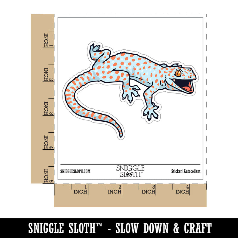Angry Tokay Gecko Realistic Lizard Waterproof Vinyl Phone Tablet Laptop Water Bottle Car Window Bumper Decal Sticker Set - 5 Pack