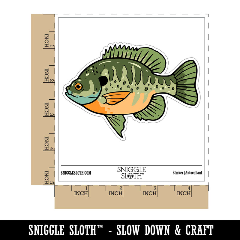 Bluegill Freshwater Fish Bream Copper Nose Waterproof Vinyl Phone Tablet Laptop Water Bottle Car Window Bumper Decal Sticker Set - 5 Pack