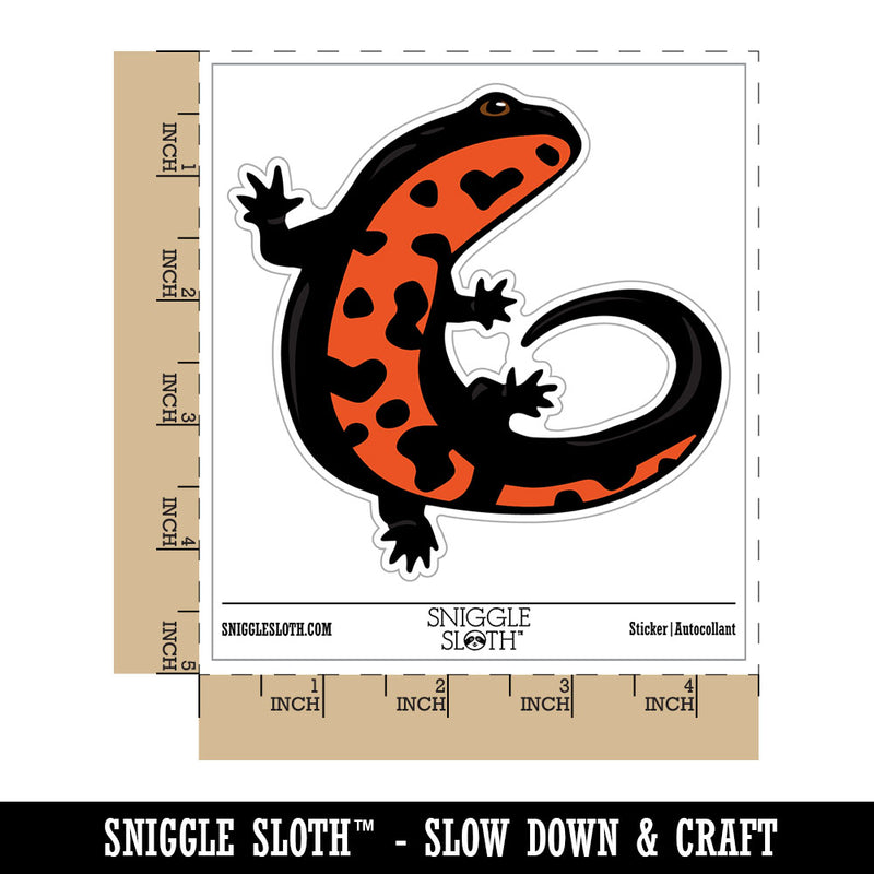 Chinese Fire Newt Amphibian Salamander Waterproof Vinyl Phone Tablet Laptop Water Bottle Car Window Bumper Decal Sticker Set - 5 Pack