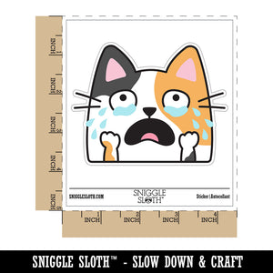 Crying Upset Cat Waterproof Vinyl Phone Tablet Laptop Water Bottle Car Window Bumper Decal Sticker Set - 5 Pack