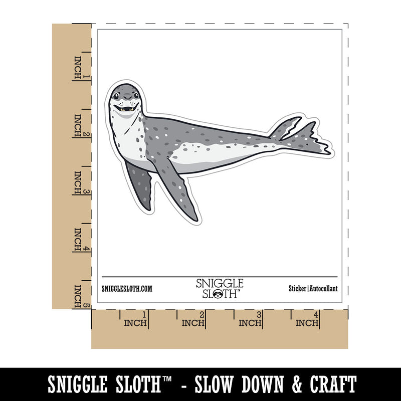 Curious Leopard Seal Swimming Sea Waterproof Vinyl Phone Tablet Laptop Water Bottle Car Window Bumper Decal Sticker Set - 5 Pack