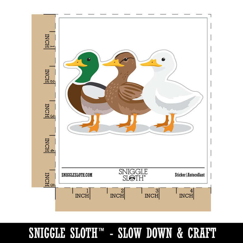 Ducks In A Row Funny Birds Waterproof Vinyl Phone Tablet Laptop Water Bottle Car Window Bumper Decal Sticker Set - 5 Pack
