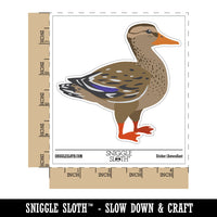 Female Mallard Duck Bird Fowl Waterproof Vinyl Phone Tablet Laptop Water Bottle Car Window Bumper Decal Sticker Set - 5 Pack