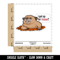 Grumpy Groundhog I got Up For This Waterproof Vinyl Phone Tablet Laptop Water Bottle Car Window Bumper Decal Sticker Set - 5 Pack