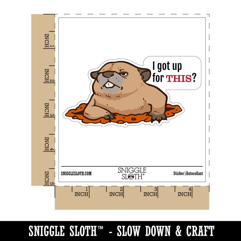 Grumpy Groundhog I got Up For This Waterproof Vinyl Phone Tablet Laptop Water Bottle Car Window Bumper Decal Sticker Set - 5 Pack