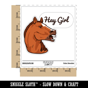 Hay Girl Flirty Chestnut Sorrel Horse Funny Pun Waterproof Vinyl Phone Tablet Laptop Water Bottle Car Window Bumper Decal Sticker Set - 5 Pack